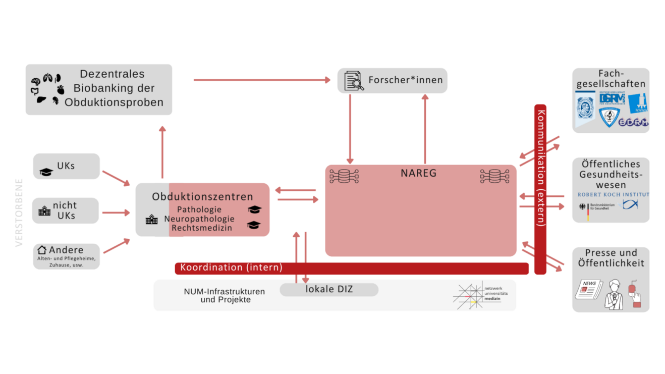 Diagramm NATON Office