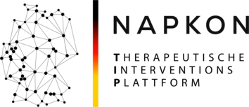 Logo NAPKON-TIP