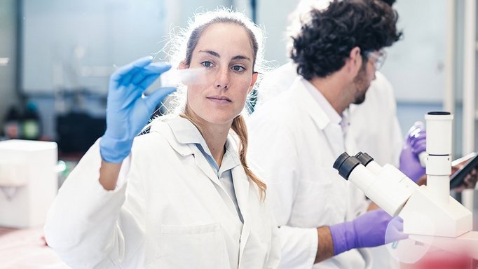 Wissenschaftler:innen